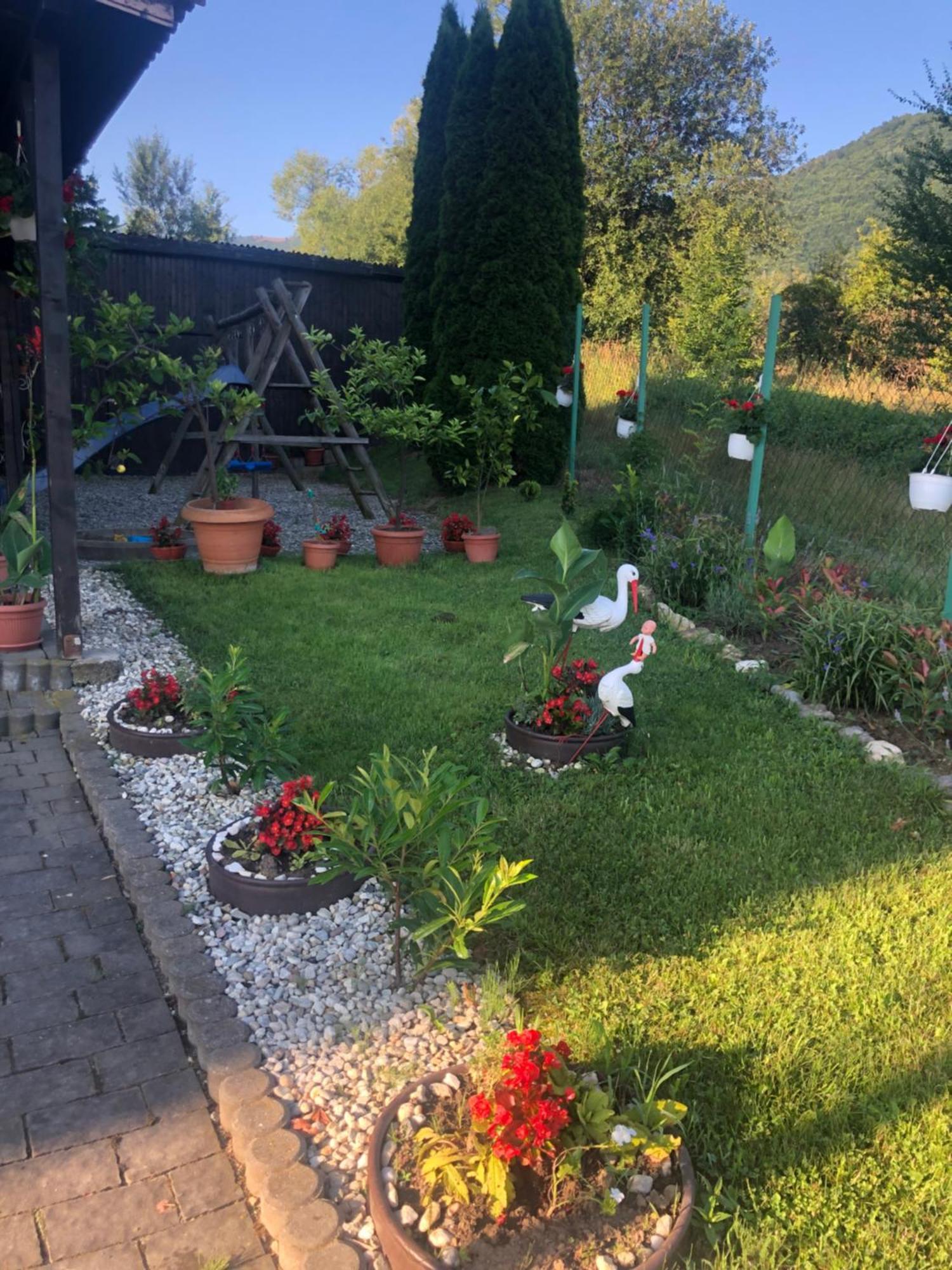 Pensiunea Casa Cu Flori Michelsberg Exterior foto