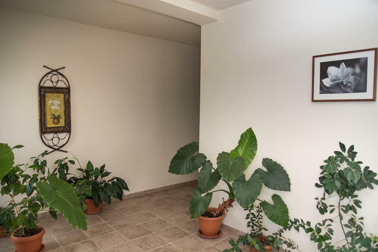Pensiunea Casa Cu Flori Michelsberg Exterior foto